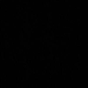 Meet your Posher, Isabella